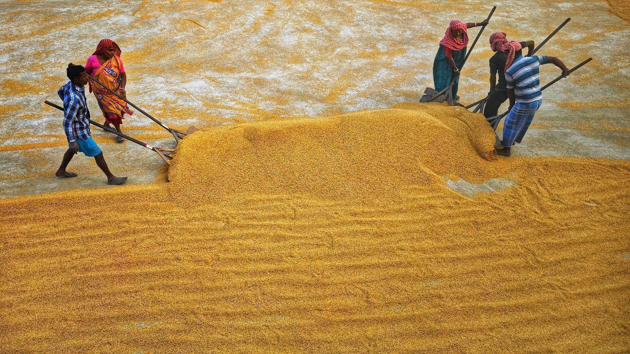 Strength in Numbers: Inspiring Stories of Community Power