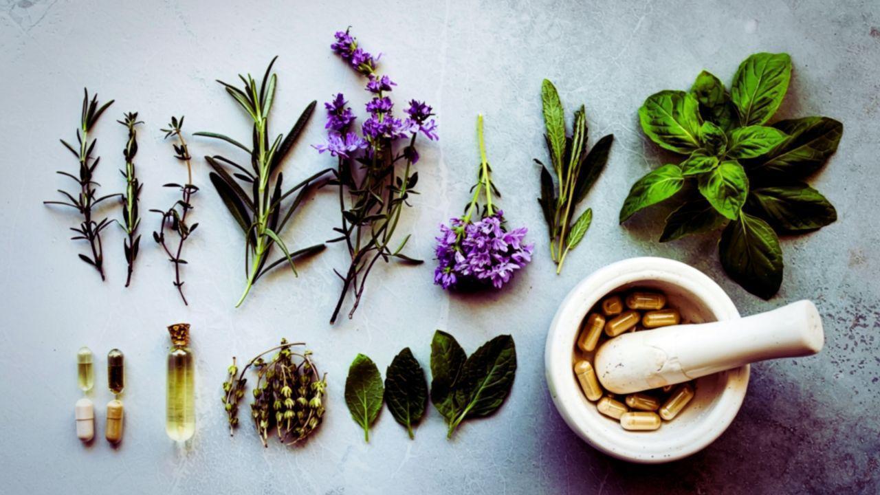 Herbal & Traditional Remedies Still Popular in Malaysia