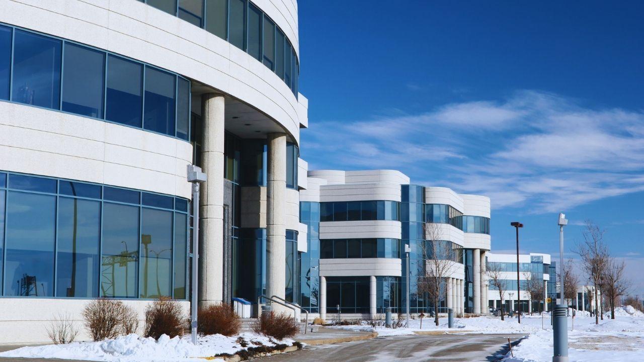 Vietnam’s Tech Workforce: A Rising Power in Asia’s IT Scene