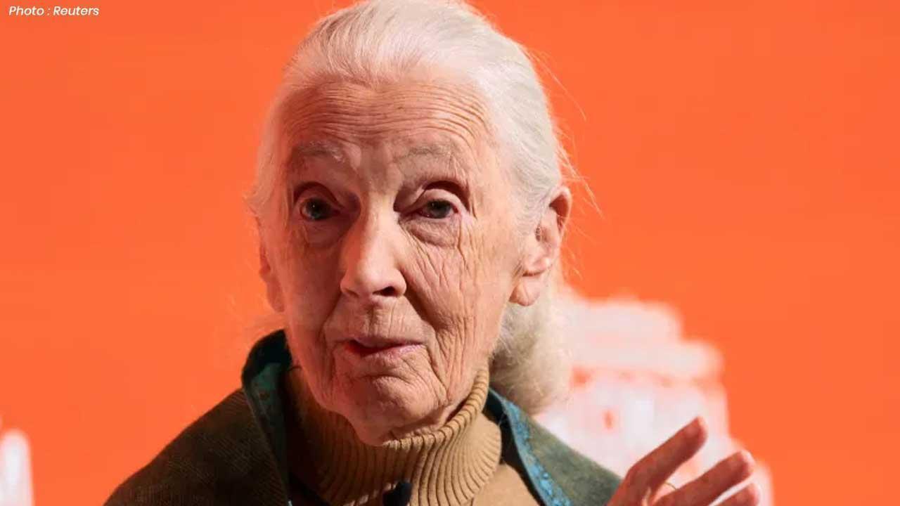 Jane Goodall Famous Conservationist and Chimpanzee Expert Dies at 91
