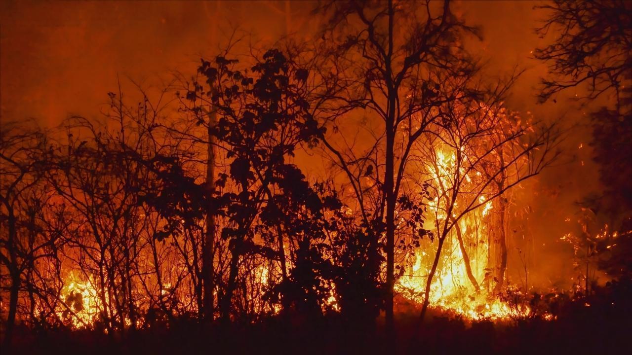 When Wildfires Become Unstoppable: Nations’ Urgent Call to Adapt