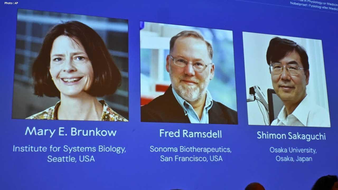 Nobel Prize 2025 in Medicine Awarded for Peripheral Immune Tolerance