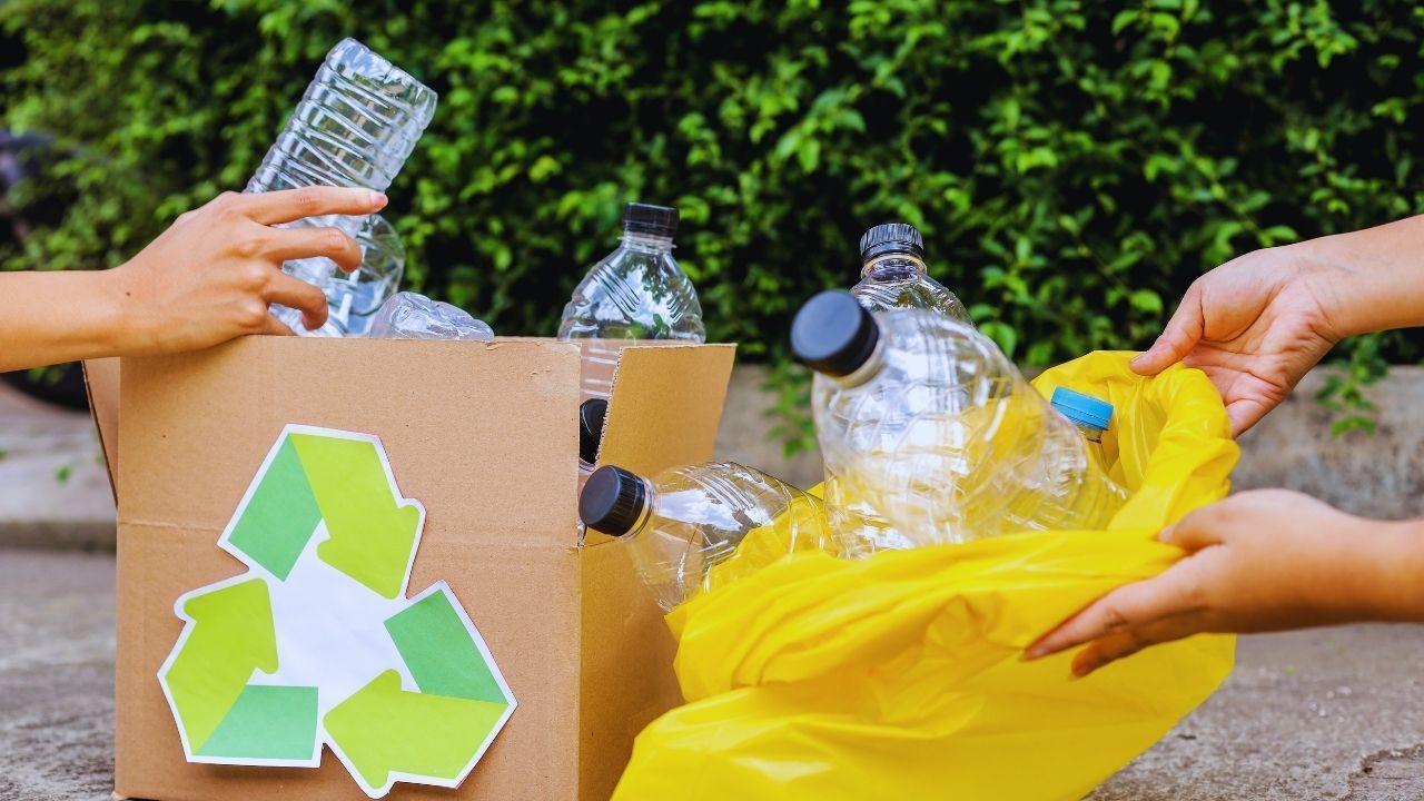 Waste Management Solutions: Plastic Alternatives & Recycling Innovations