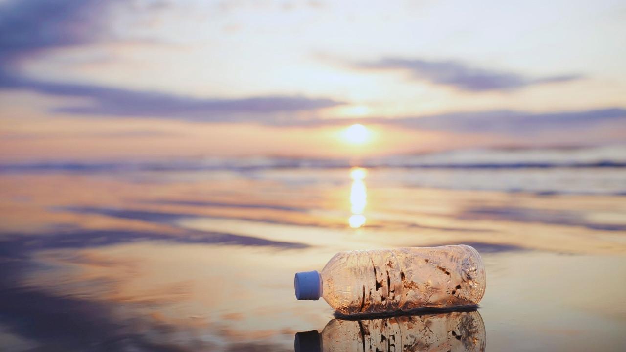 Ocean Acidification and Its Impact on Global Fisheries and Marine Food Chains