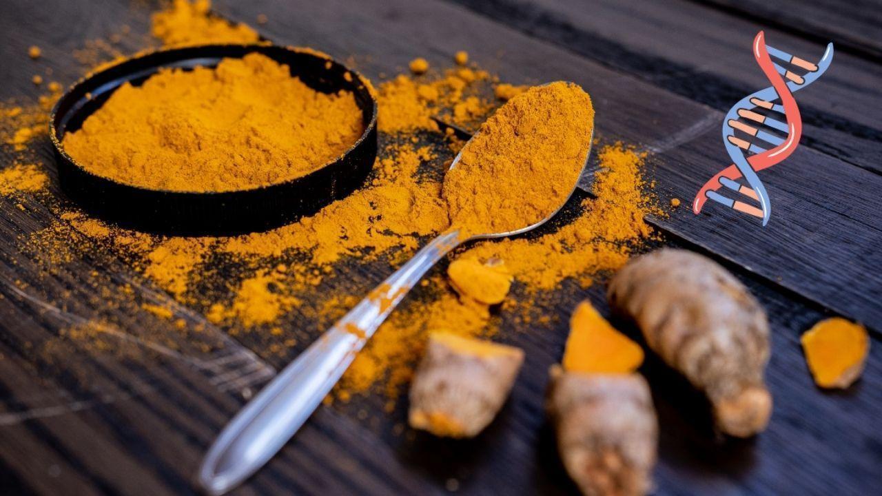 SPARK 4.0 Initiative: Fostering Ayurveda Research and Innovation