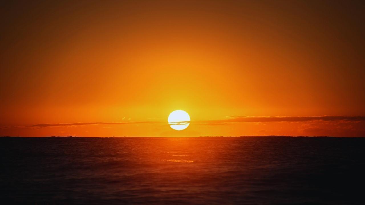 Oceans at Risk: Marine Biodiversity Declines Due to Rising Temperatures