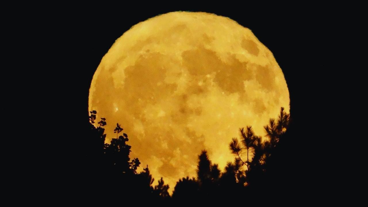 Harvest Moon 2025: When, Where, and How to See the Rare October Supermoon in the U.S.