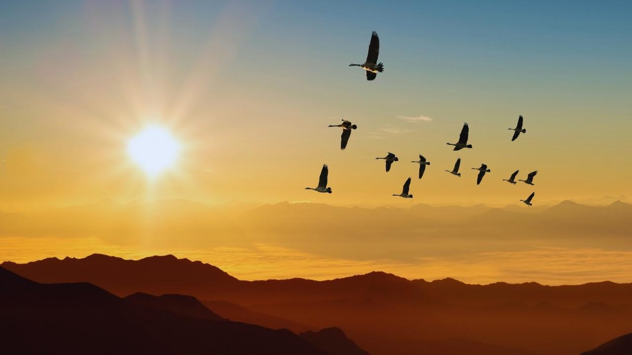 How the Climate Migration Narrative Shifted in September: From ‘Maybe’ to ‘Now’