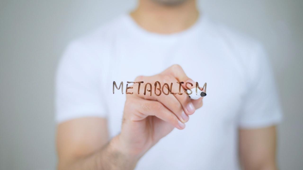 Metabolic Tracking Revolution: How Technology Is Redefining Wellness in 2025