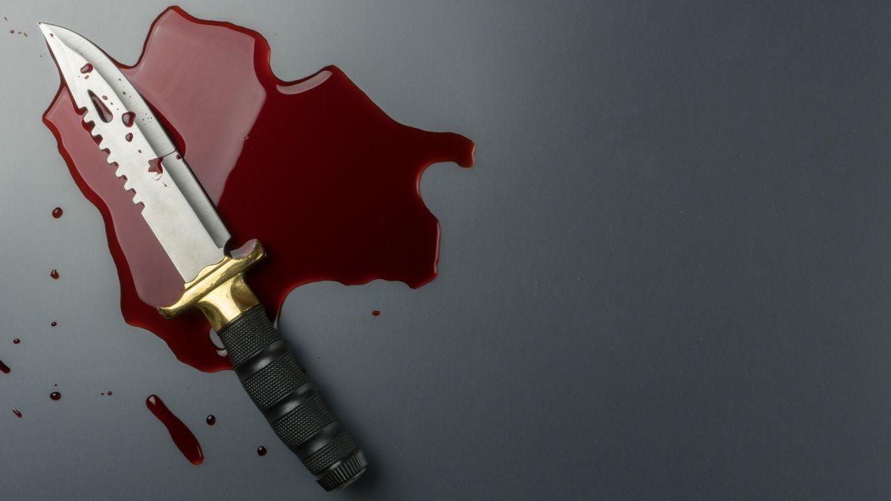 Tragic Stabbing of Army Soldier on Train Amid Bedding Dispute