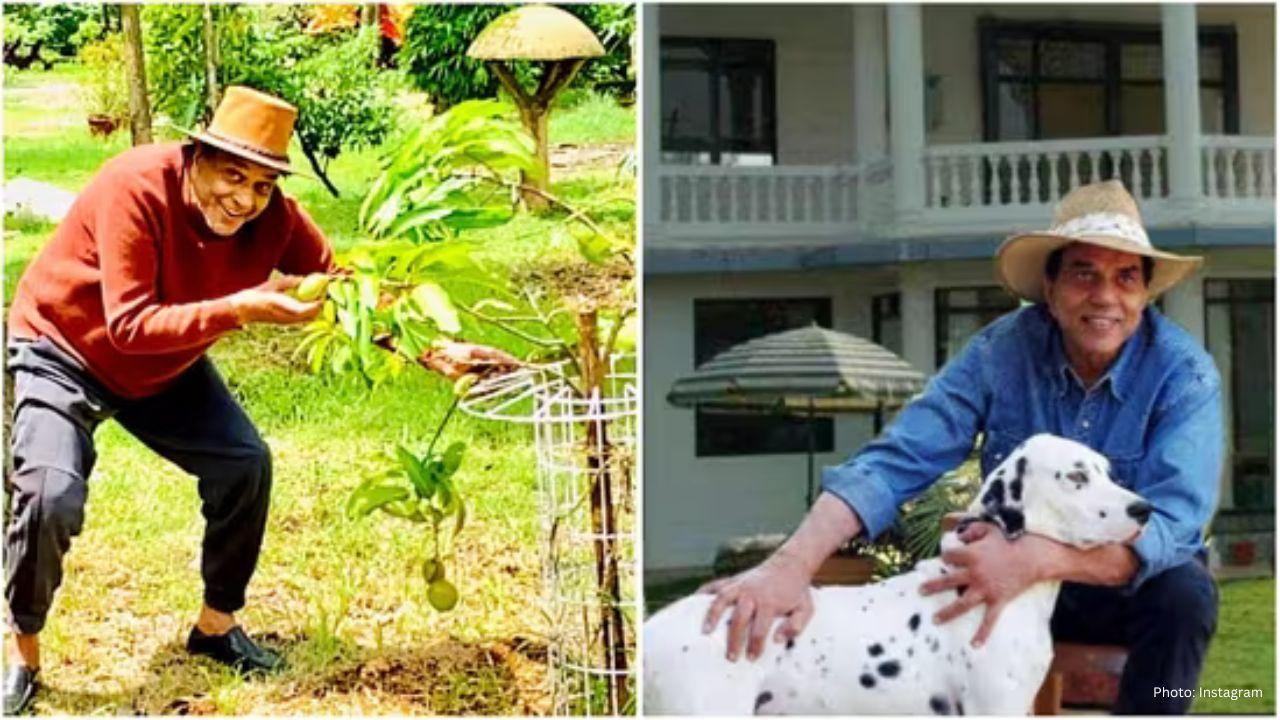 Dharmendra's Serene Retreat: A Look Inside His Lonavala Sanctuary