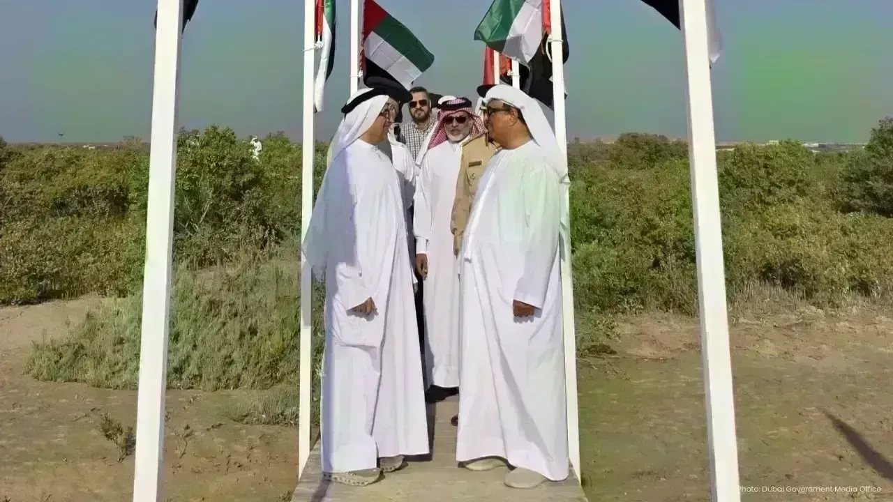 Dubai Unveils Ambitious Mangrove Planting Initiative in Wildlife Sanctuaries