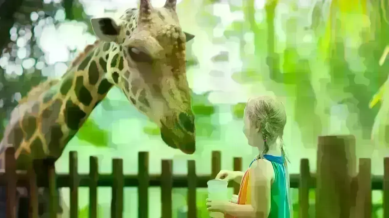 Celebrate Eid Al Etihad with 50% Discount at Dubai Safari Park