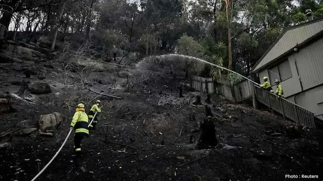 Australian Firefighter Dies Battling Bushfire Near Sydney