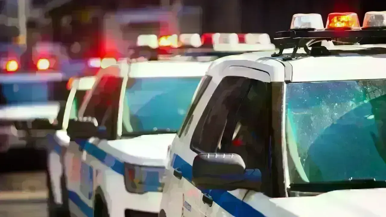 Husband Charged With Murder of Ex-Miss Switzerland Wife