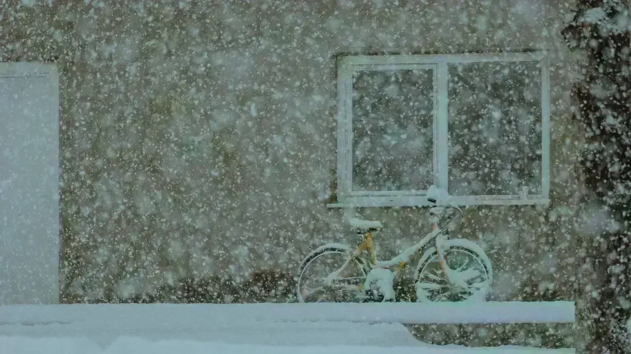 Major Snowstorm Set to Hit Southern Saskatchewan with Intense Conditions