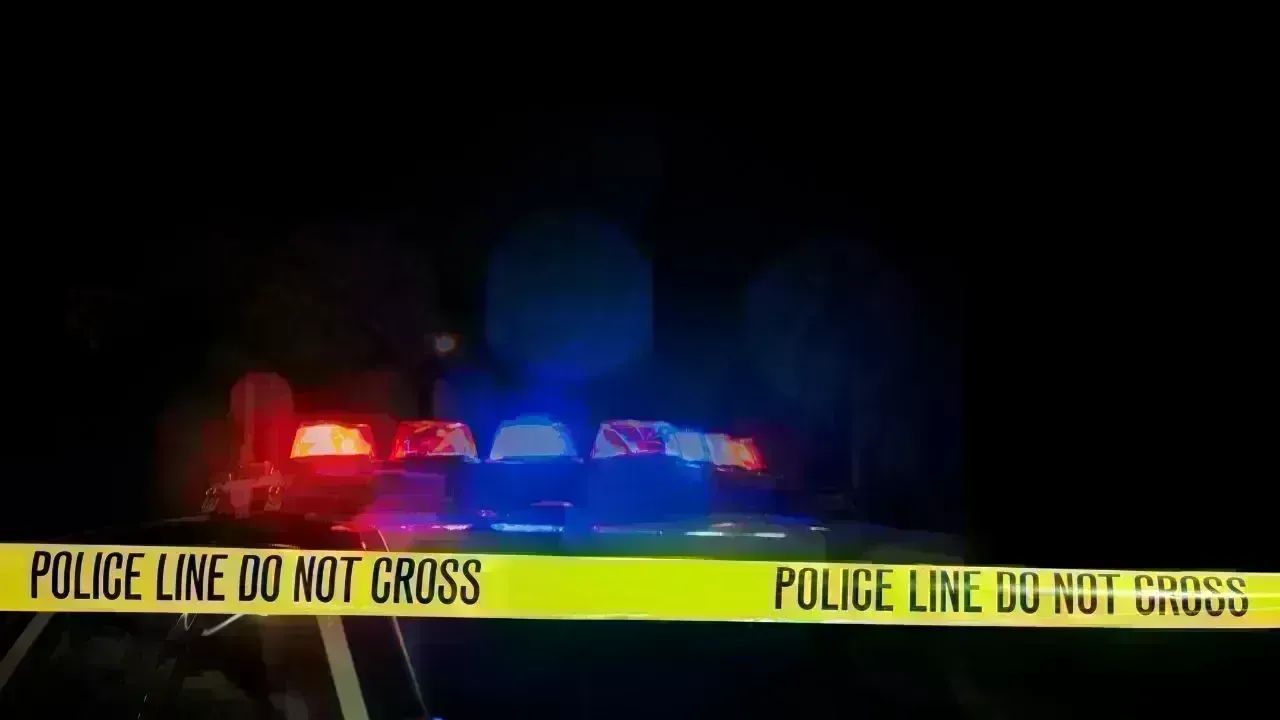 Two Telangana Women Die in California Road Accident, Families Seek Help