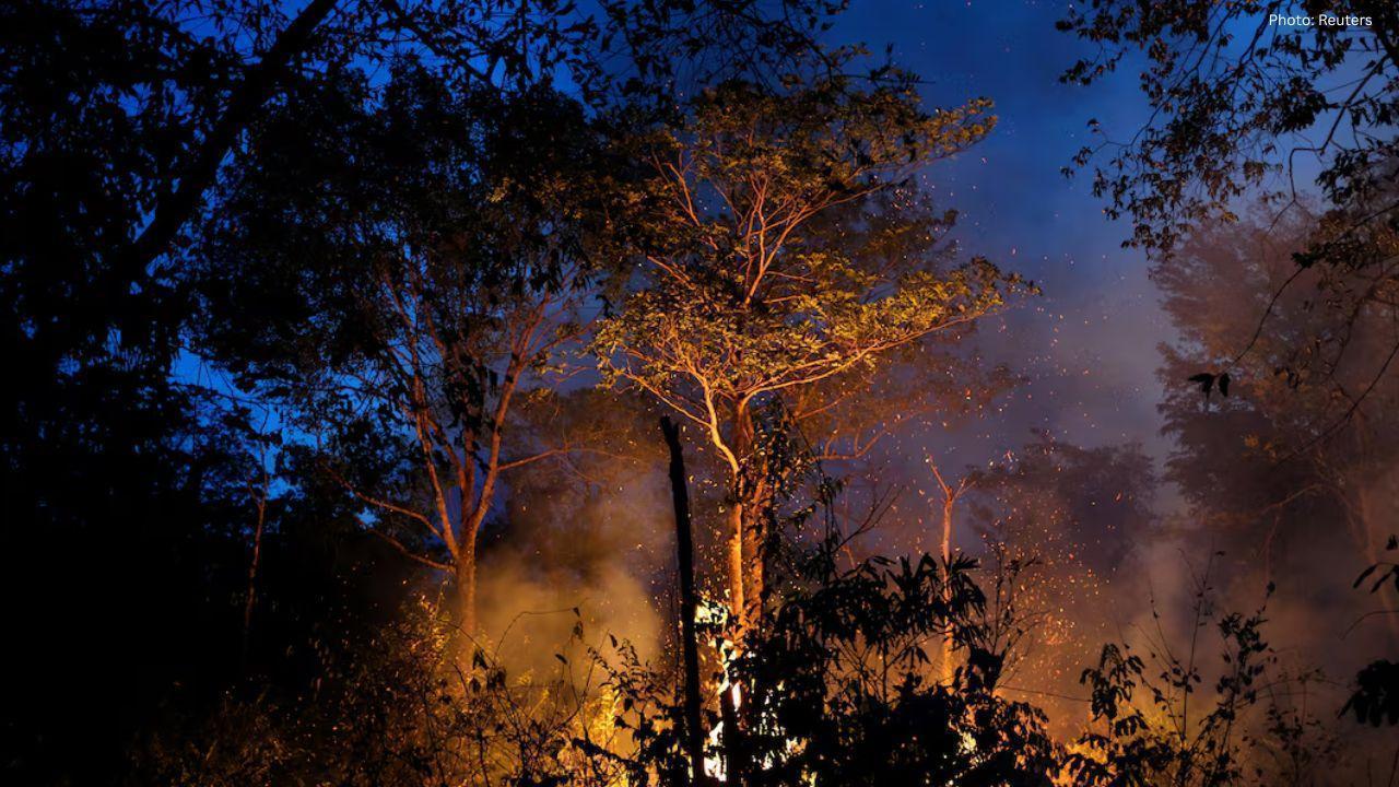 Brazil's Soy Traders Consider Exiting Amazon Pact Due to Tax Law Changes