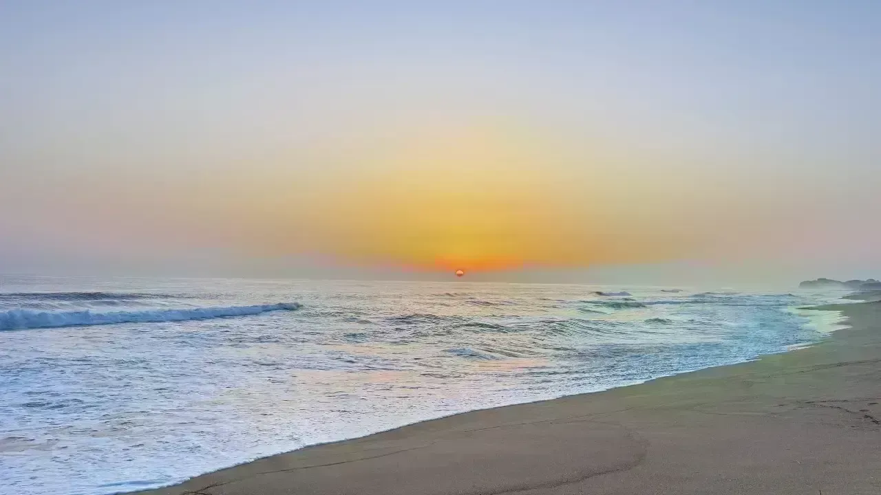 A Pact for the Planet’s Last Frontier: New Ocean Treaty Signed—What It Protects and Why It Matters