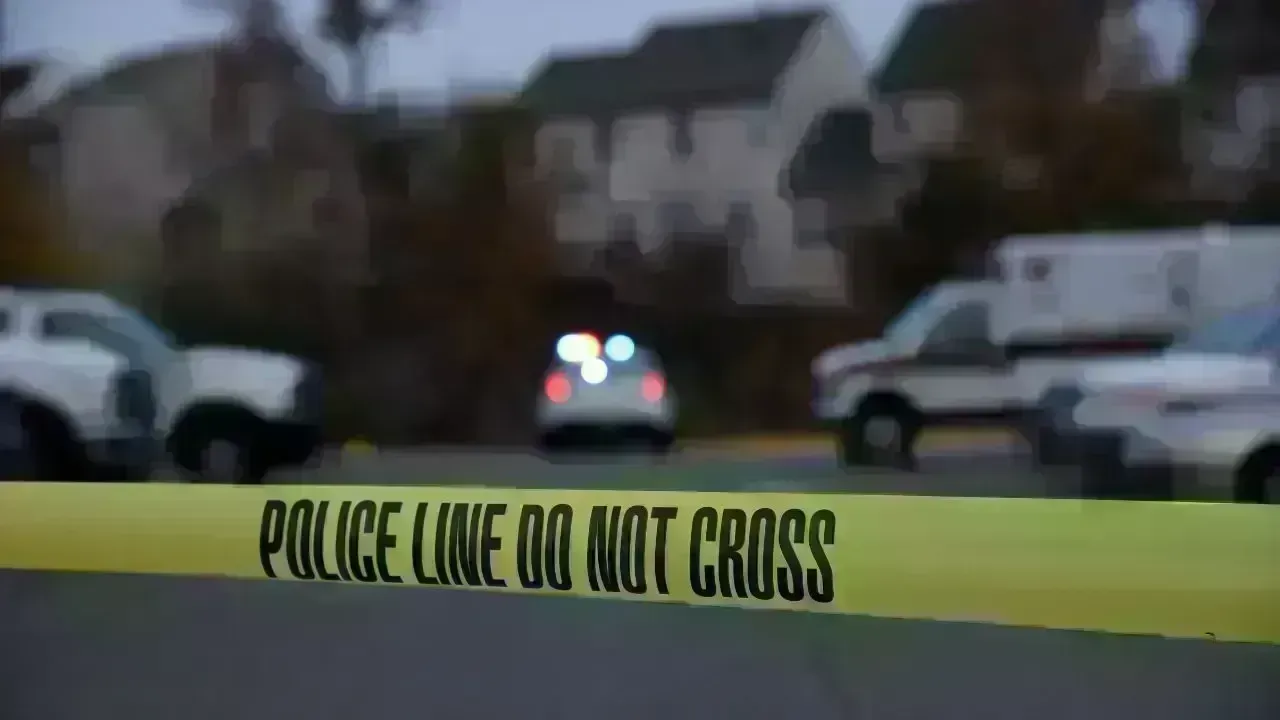 Indian-Origin Woman Charged With Killing Two Young Sons in US