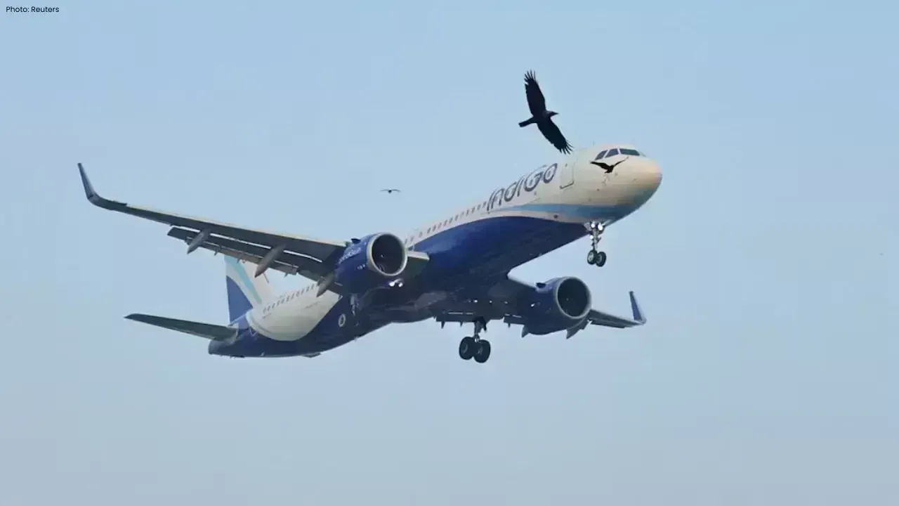 IndiGo Flight Chaos as Pilot Refuses to Fly Passengers Protest
