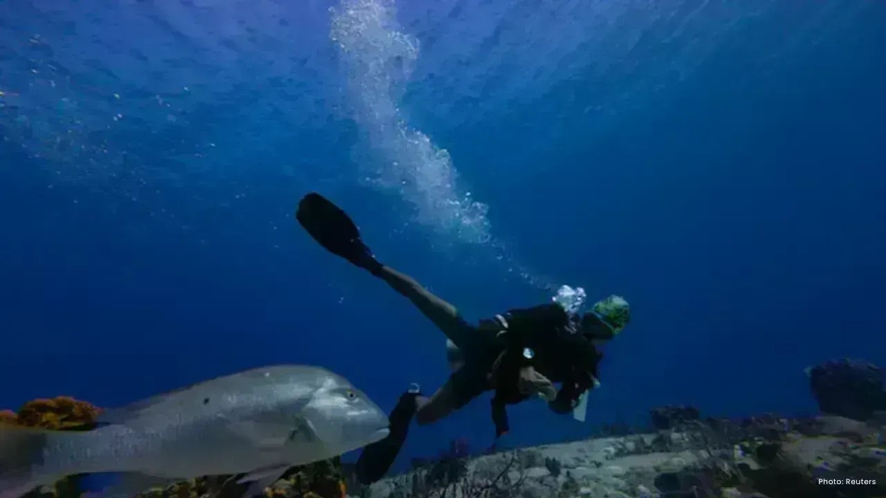 UN Biodiversity Treaty Enforces Ocean Protection Goals by 2030