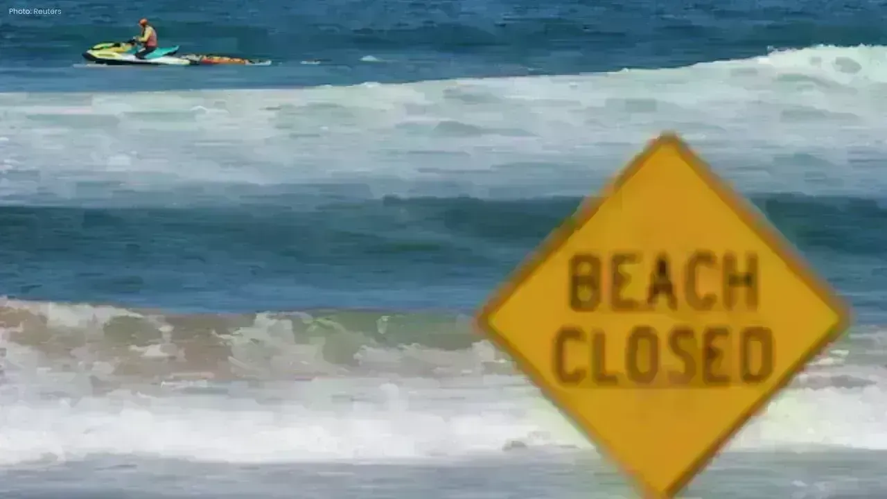 12-Year-Old Boy Dies After Shark Attack in Sydney Harbour