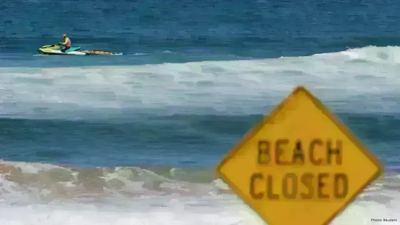 Tragic Shark Attack in Sydney Harbour Claims the Life of Young Boy