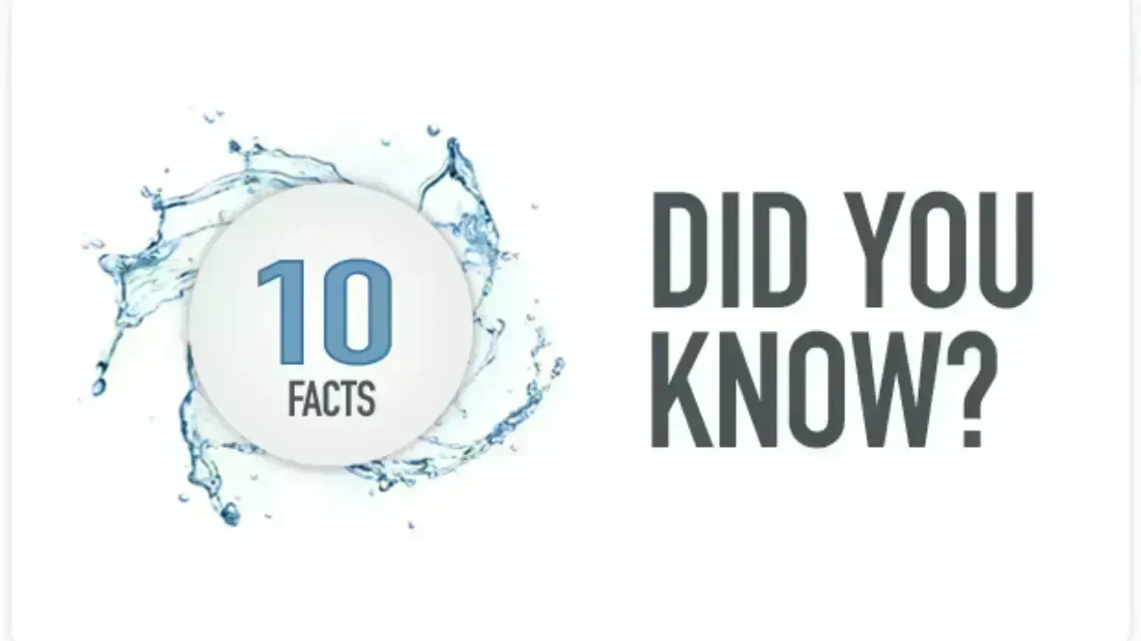 10 Little-Known Facts That Will Blow Your Mind in 2026