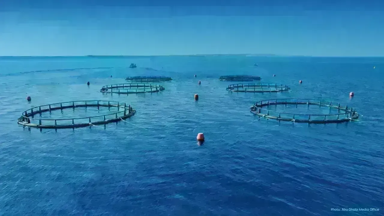 Abu Dhabi’s Vision for 100% Sustainable Fisheries by 2025