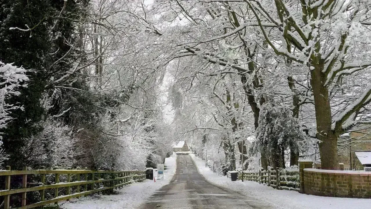 Severe Winter Storm Claims 10 Lives and Disrupts Power Nationwide