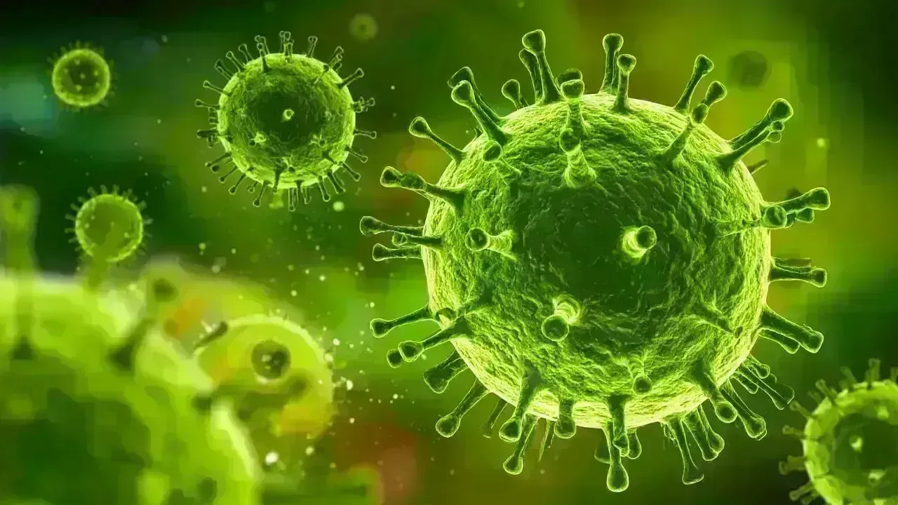 Nipah Virus Alert in West Bengal Prompts Asia Airport Screening