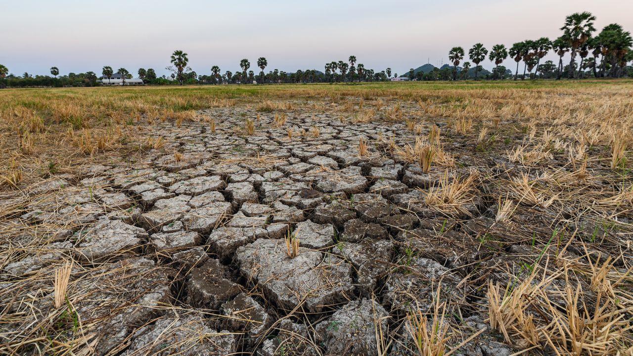 Massive Sinkhole Expands in Indonesia Swallows Farmland in Aceh