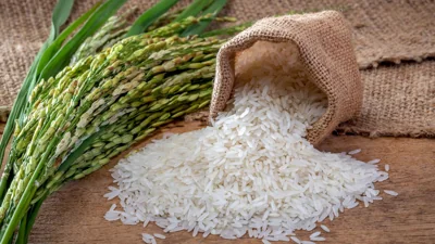 Thailand China discuss 500,000-ton rice export deal in 2026
