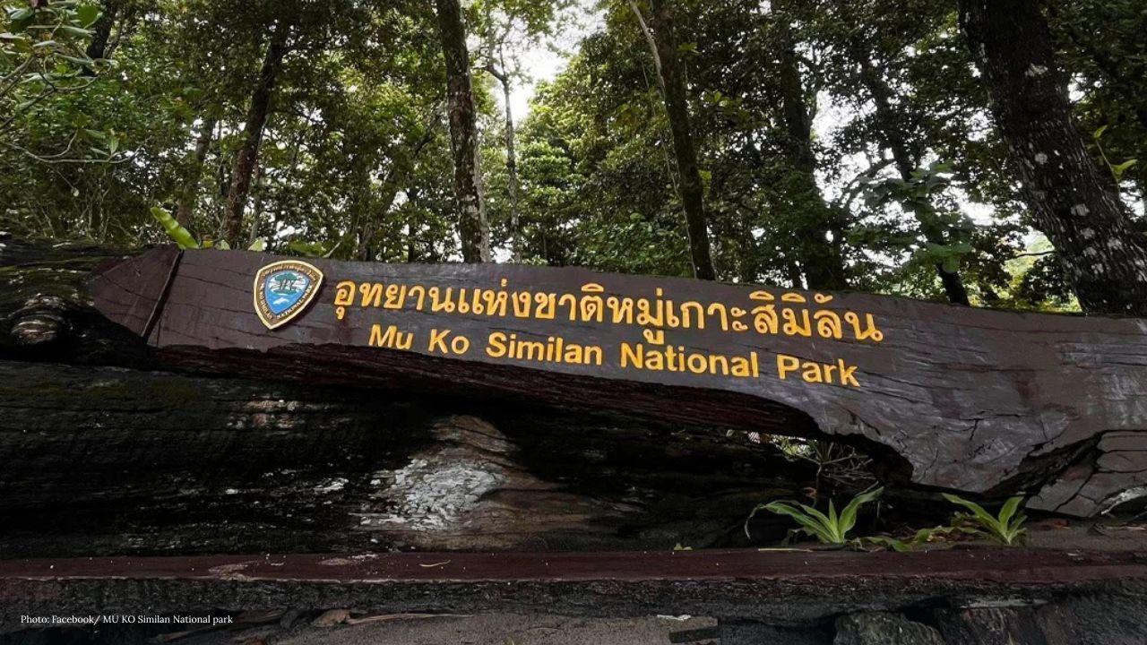 Divers Remove 2 Tonnes of Ghost Nets from Similan Reef Protecting Marine Life