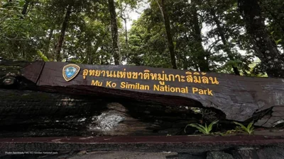 Divers Remove 2 Tonnes of Ghost Nets from Similan Reef Protecting Marine Life