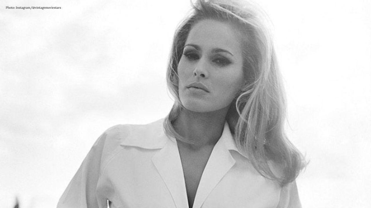 Italy Seizes €20m in Ursula Fraud Case