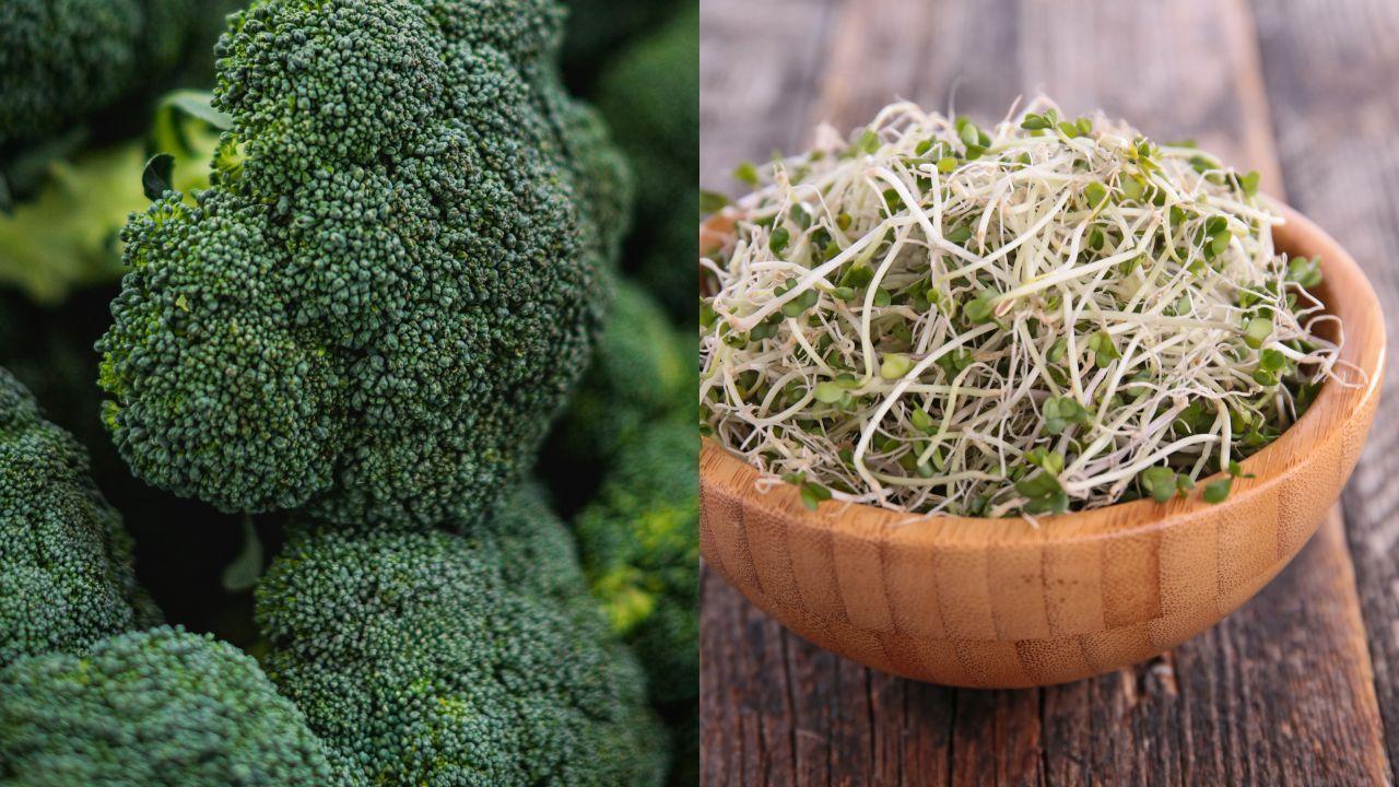 Murakami Farm Boosts Taiwan Sprout Sales