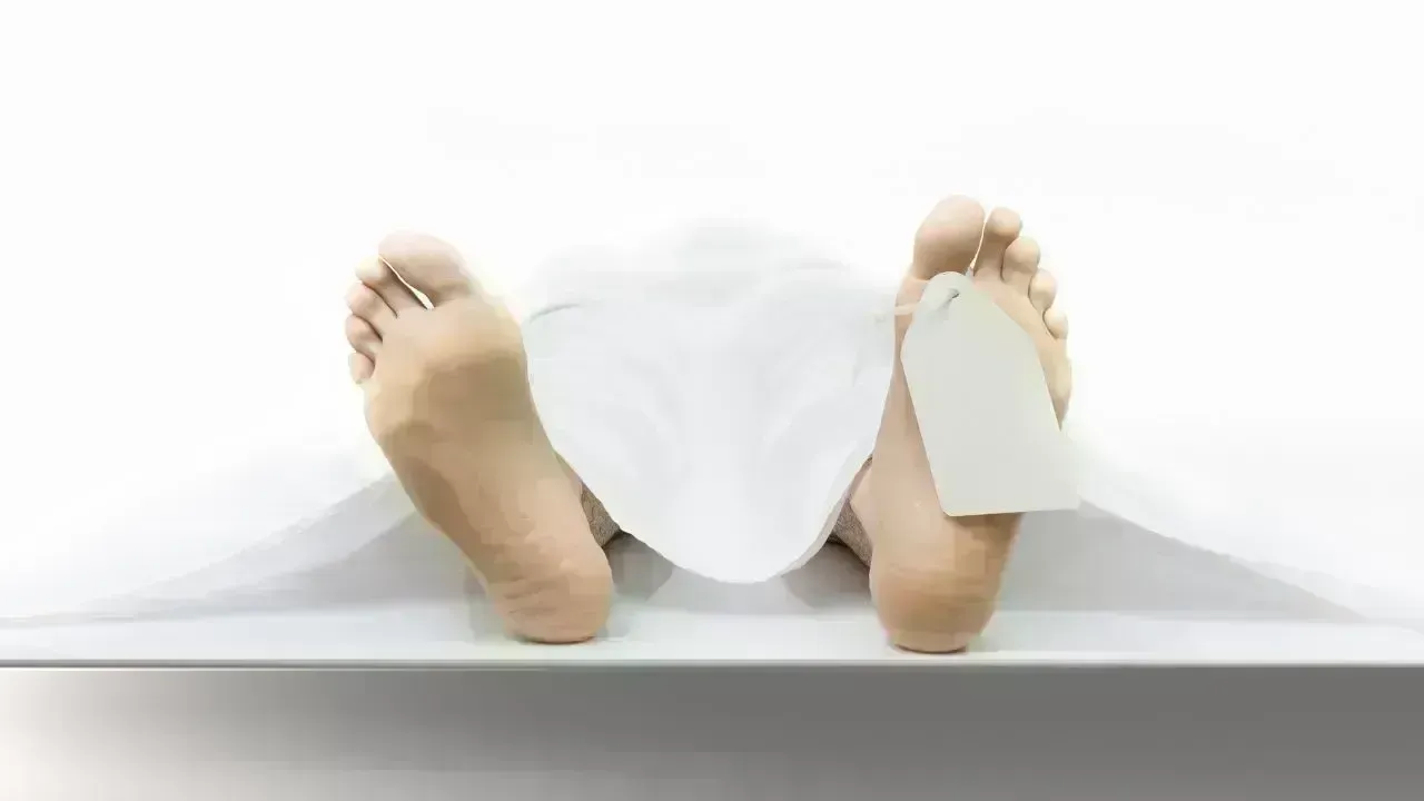 Two Women Found Dead in Osaka Apartment Case