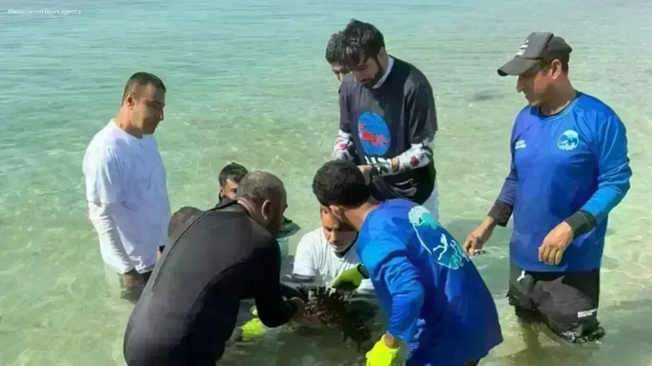 Oman Launches Coral Reef Cultivation Project