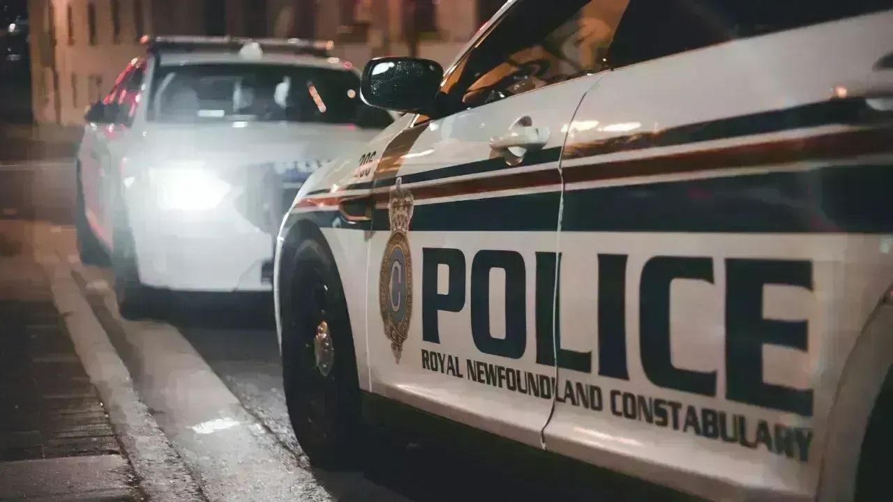 Senior Pedestrian Fatality in Belleville Collision