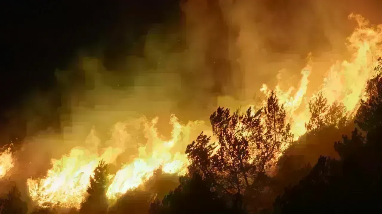Arson Charges Filed Against 38-Year-Old in Port Alberni Fires