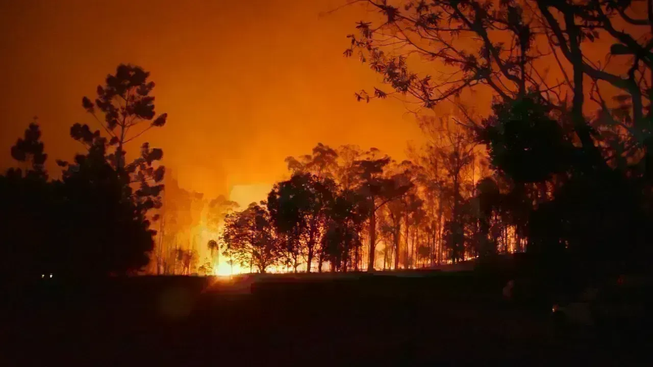 Indonesia Reports Sharp Drop in Forest Fires