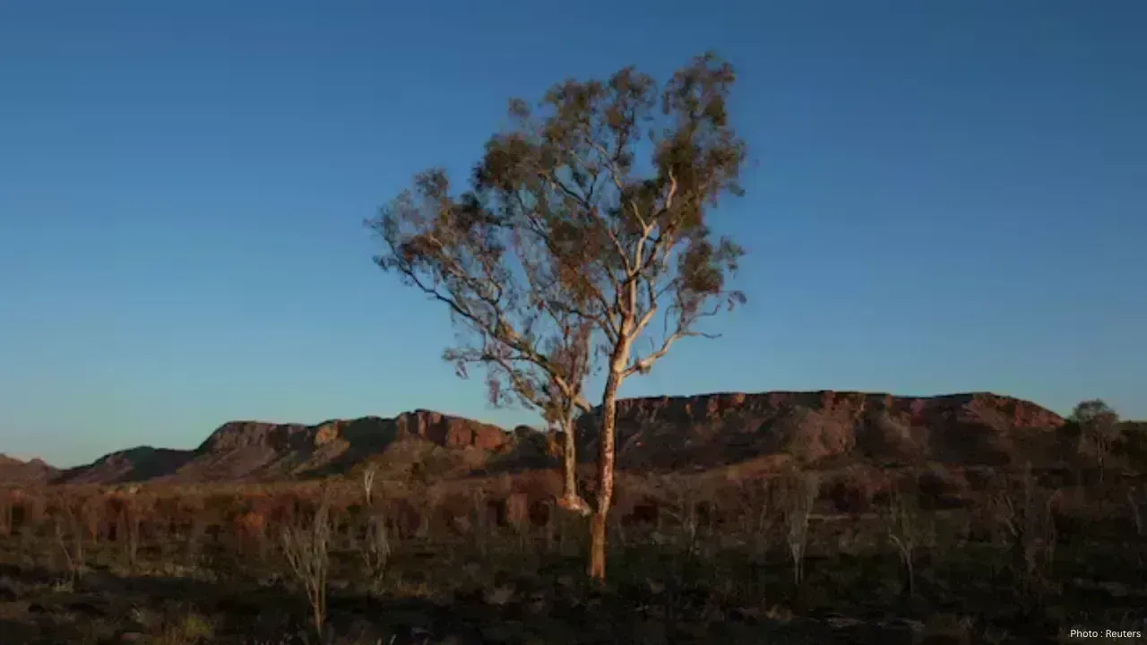 Impact of Climate Change on Global Plant Species