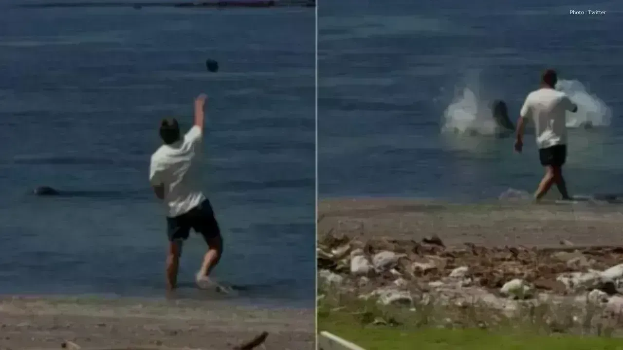 Hawaii Prohibits Access to Beaches for Man Accused of Harassing Endangered Seal
