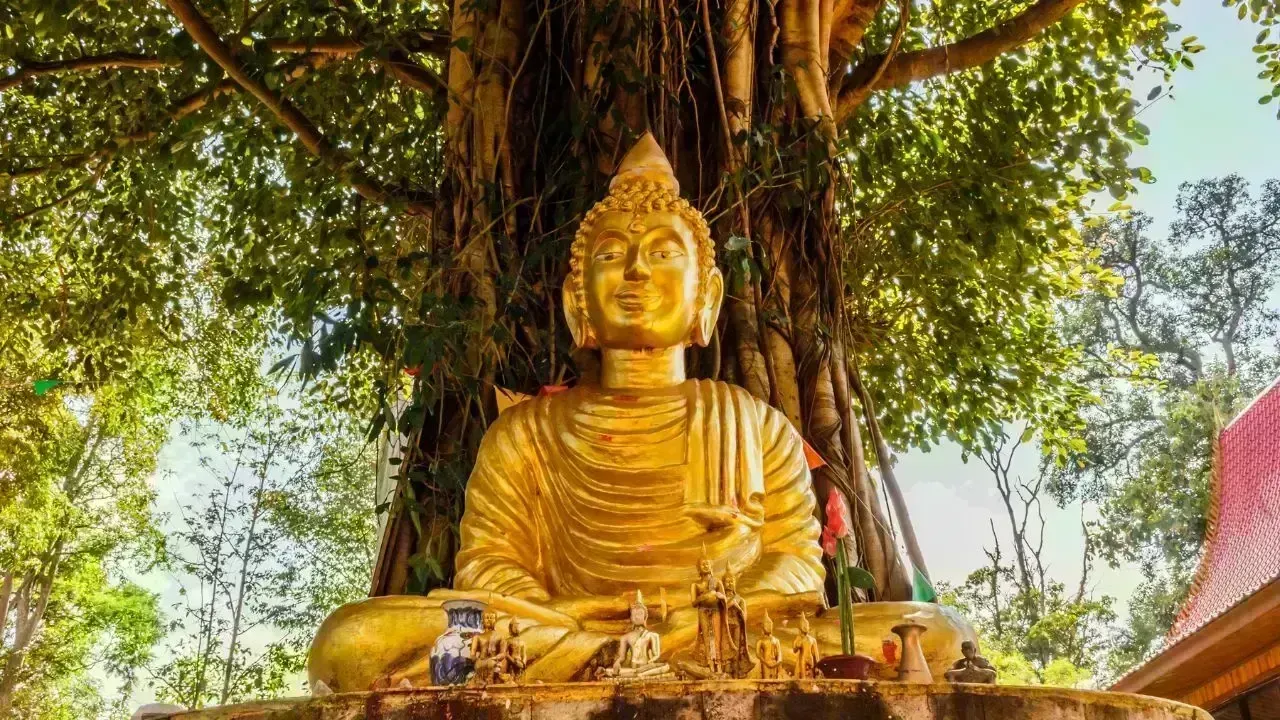 Thailand Invites Public for Bodhi Tree Tribute