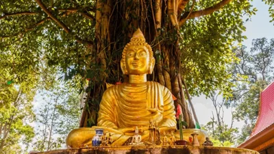 Thailand Invites Public for Bodhi Tree Tribute