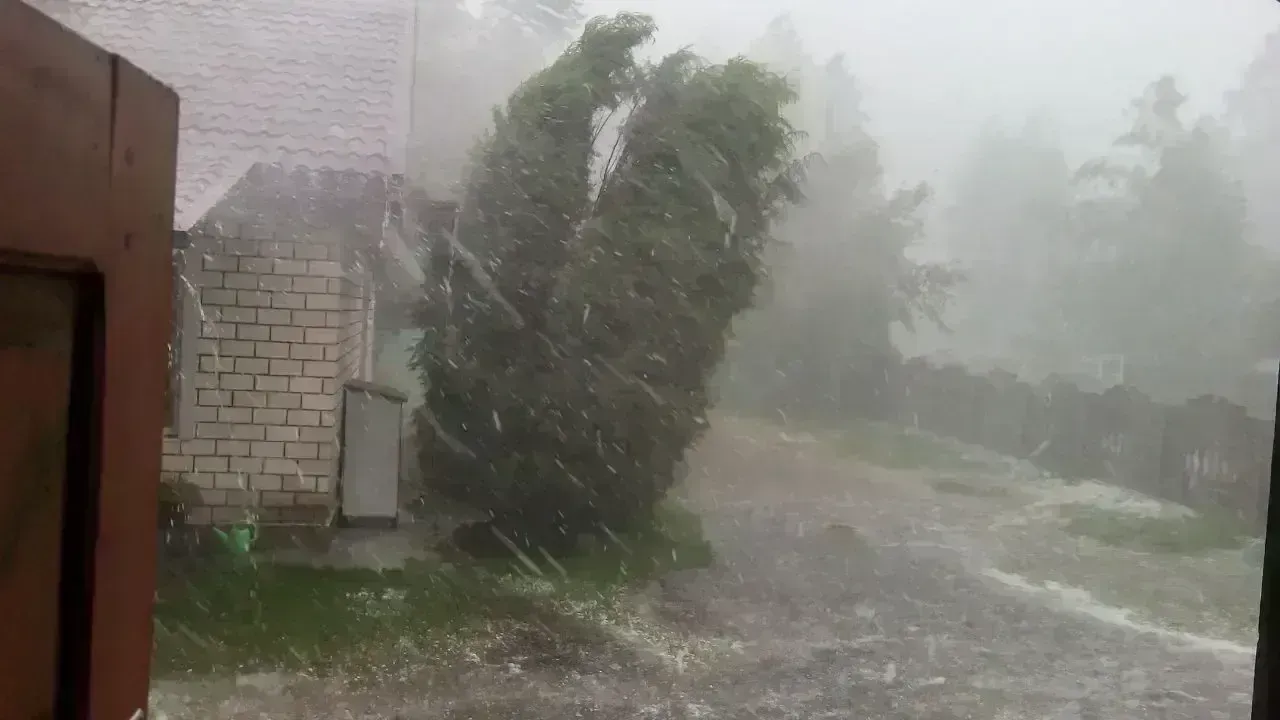Storm Jangmi Batters Japan, Causes Disruption