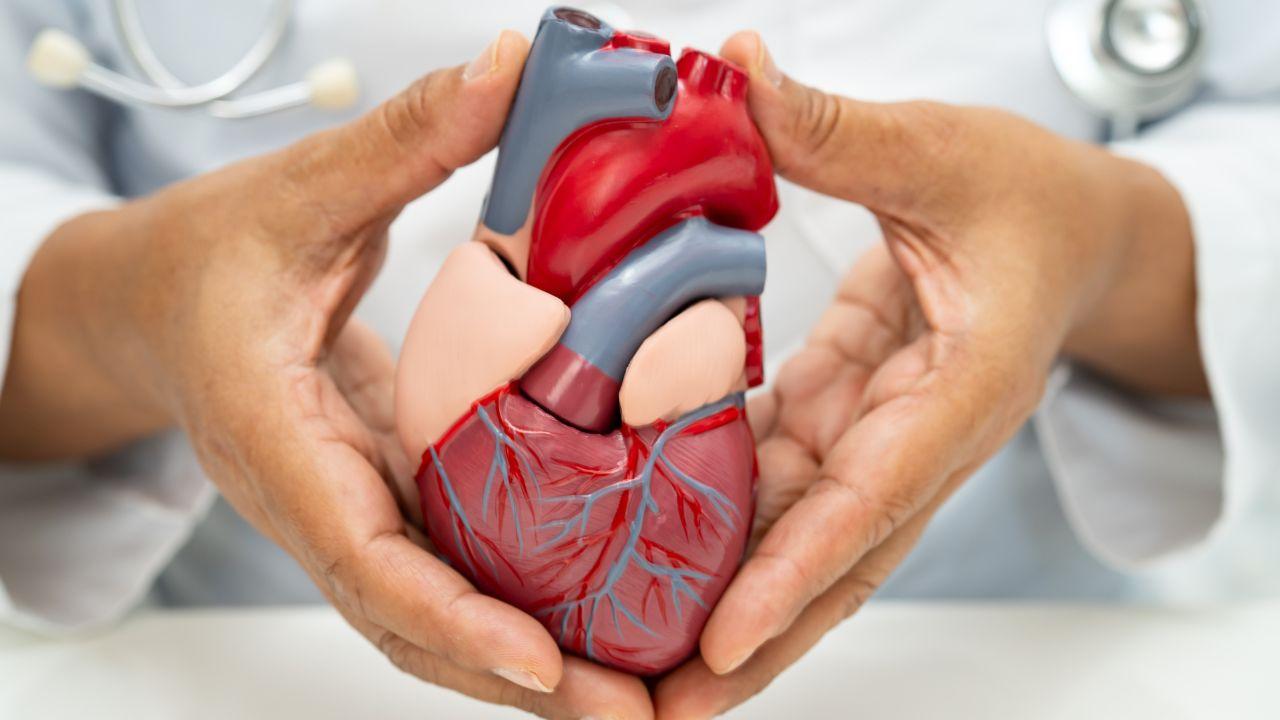 Vietnam Advances Cardiac Care With New Medical Breakthroughs