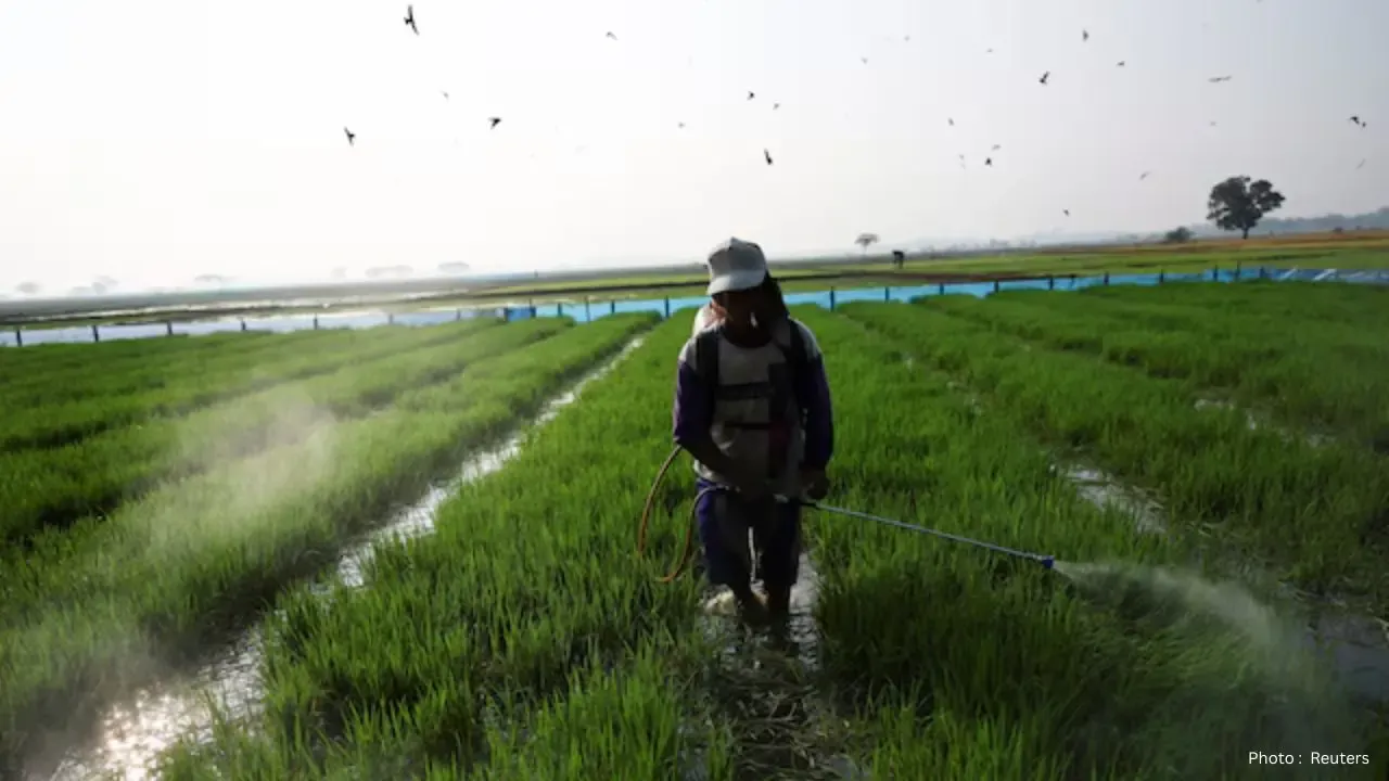 BMKG Alerts Farmers as El Niño Sets Stage for Severe Drought